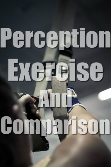 Perception, Exercise, and Comparison