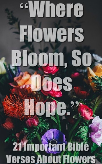 40 Important Bible Verses About Flowers (Blooming Flowers)