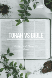 Torah Vs Bible Differences: (5 Important Things To Know)