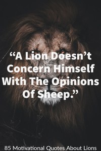 "A Lion does not lose sleep over the opinions of a sheep."