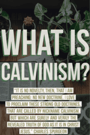 What Is Calvinism? 5 Points of Calvinism Explained (Beliefs)