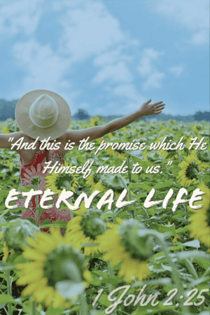  1 John 2:25 "And this is the promise which He made Himself to us. Eternal life."