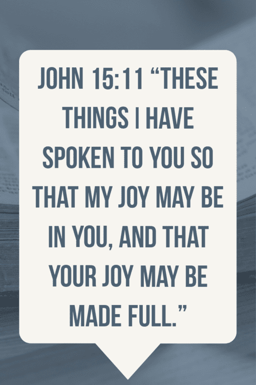 "My joy may be in you, and that your joy may be made full." John 15:11