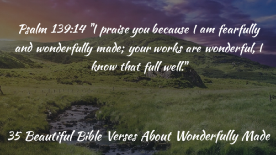Bible Verses about 'Creator
