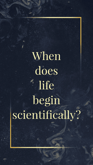 When does life begin scientifically?