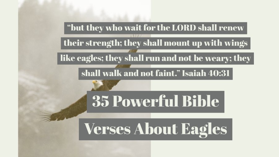 35 Powerful Bible Verses About Eagles (Soaring On Wings)