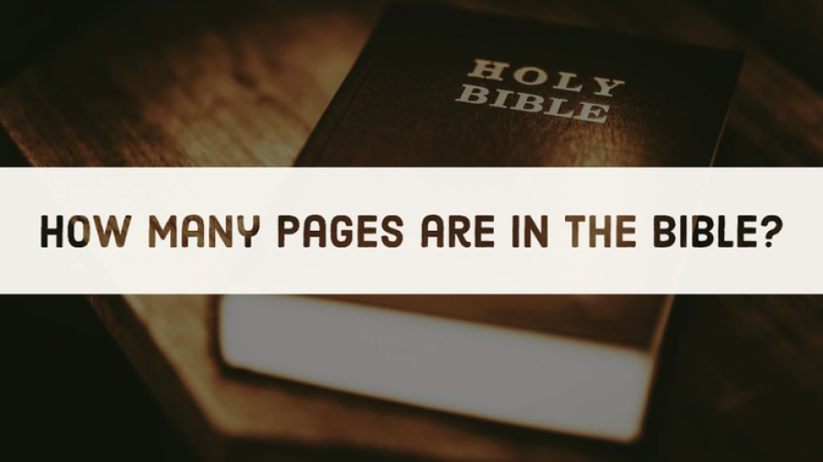 How Many Pages Are In The Bible? (Average Number) 7 Truths