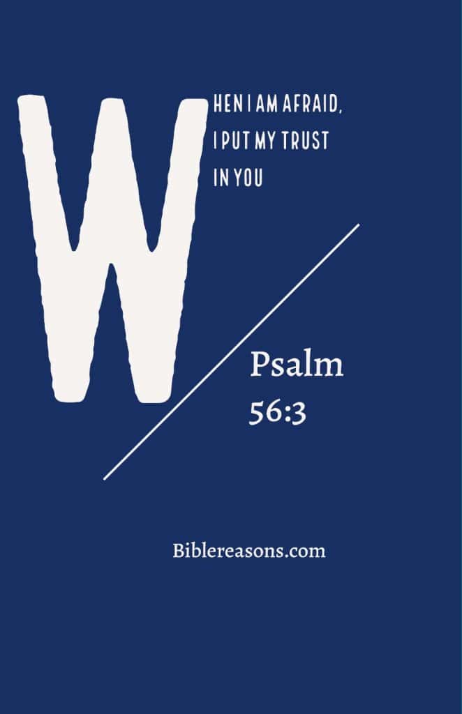 Psalm 56:3 "But when I am afraid, I will put my trust in you."