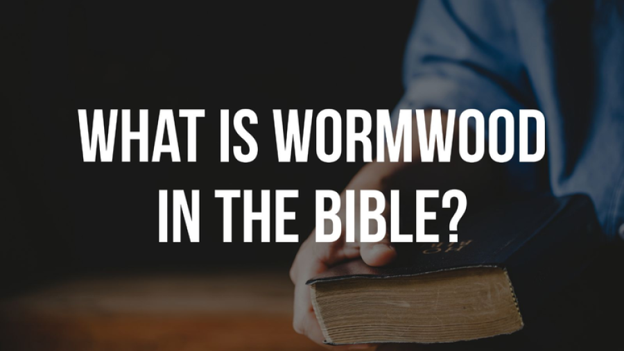 What Is Wordwood In The Bible? (Meaning) 5 Truths To Know