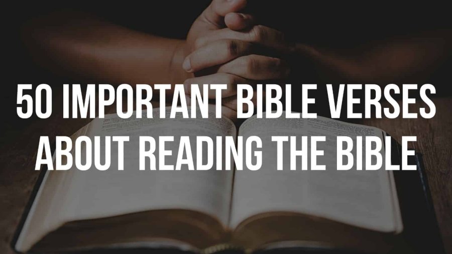50 Epic Bible verses About Reading The Bible (Daily Study)