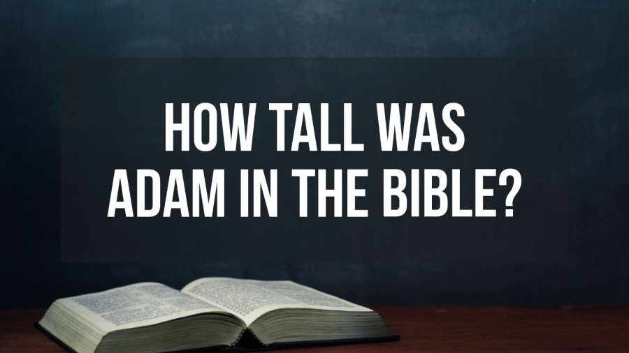 How Tall Was Adam In The Bible? (Height In Feet)