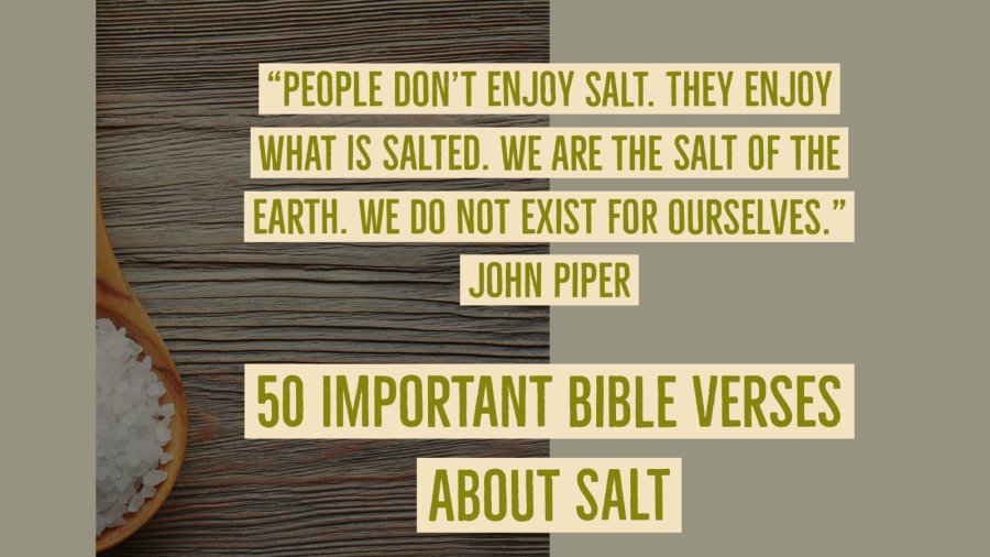 50 Important Bible Verses About Salt And Light Of The World